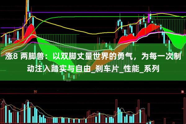 涨8 两脚兽：以双脚丈量世界的勇气，为每一次制动注入踏实与自由_刹车片_性能_系列
