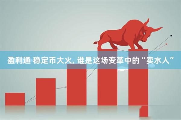 盈利通 稳定币大火, 谁是这场变革中的“卖水人”