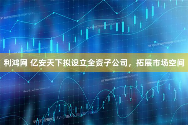 利鸿网 亿安天下拟设立全资子公司，拓展市场空间